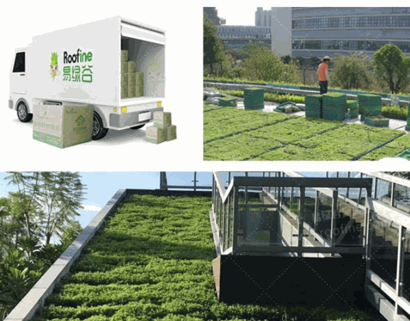 易綠谷屋頂綠化