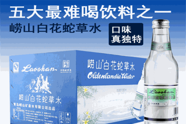 嶗山白花蛇草水