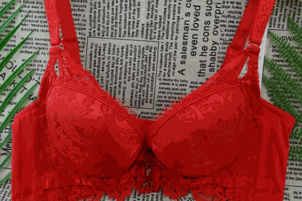 霞丹妮內(nèi)衣