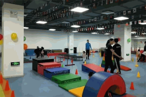 動康體育培訓(xùn)