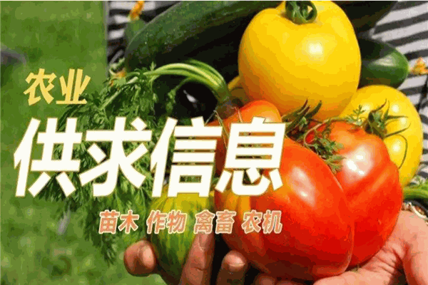 農產品信息連鎖超市