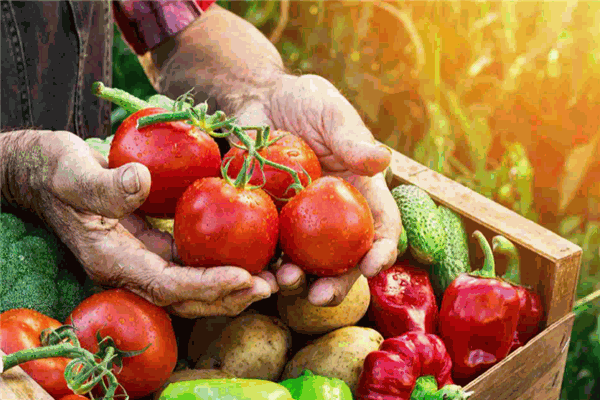 農產品信息連鎖超市