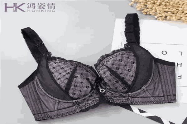 鴻姿情內衣