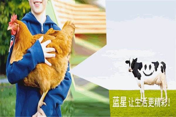 藍(lán)星防凍液