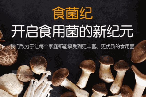 食菌紀(jì)