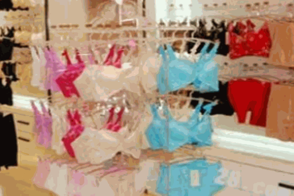 丹曼兒內(nèi)衣