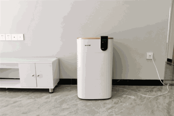 喜愛而空氣凈化器