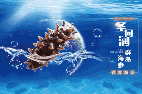 群島海參