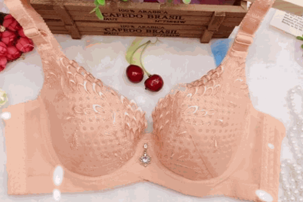 澳淇芬內(nèi)衣