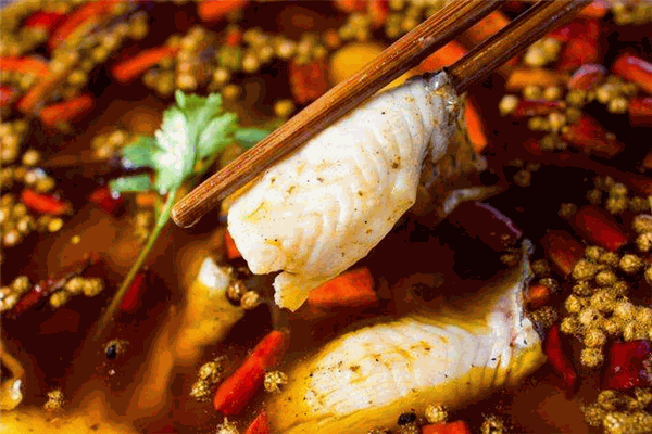 新魚上任霸魚火鍋