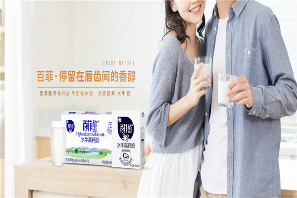 百菲酪水牛奶