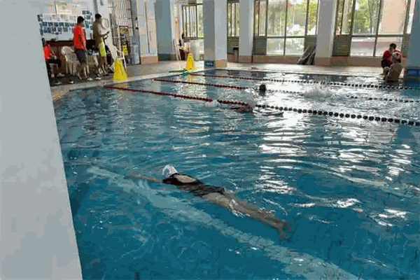 奧爾維斯國(guó)際游泳培訓(xùn)