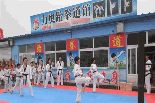 力奧跆拳道