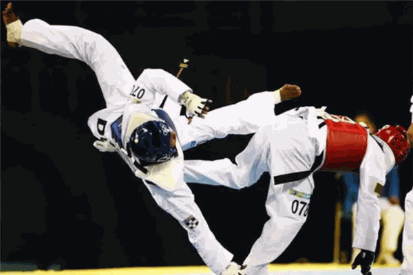 龍武國際跆拳道