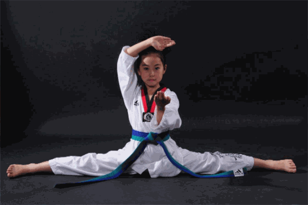 龍武國際跆拳道