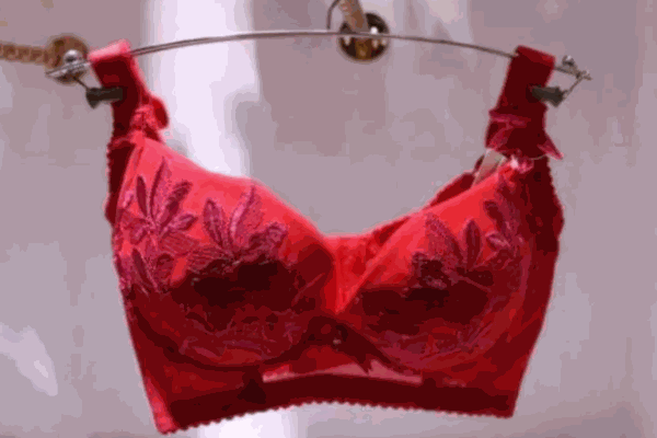 維曼姿內(nèi)衣