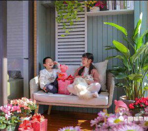 懶貓木陽(yáng)臺(tái)