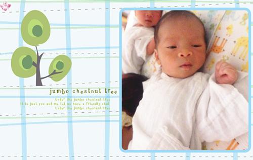 芙蓉花月子會(huì)所