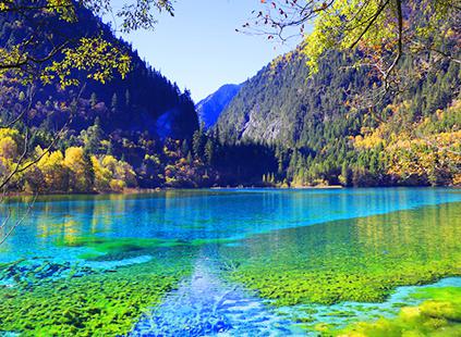 中國青年旅行社