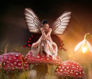 芭迪國際兒童攝影