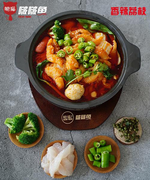 肥貓啵啵魚(yú)