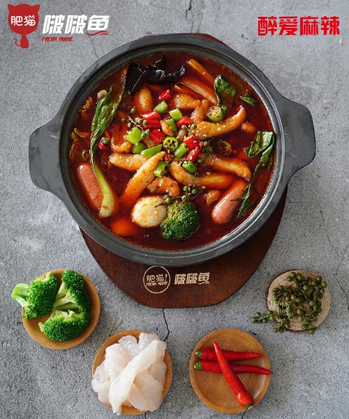 肥貓啵啵魚(yú)