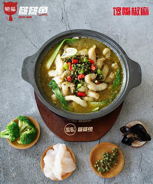 肥貓啵啵魚(yú)