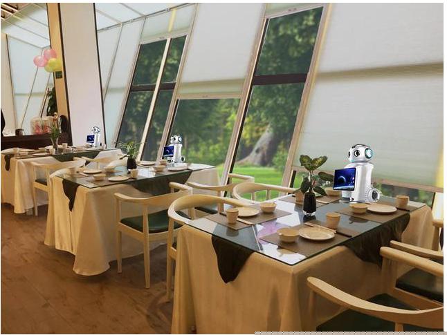 時(shí)科機(jī)器人教育