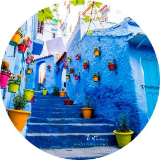 芝芝鳥藝術(shù)家園