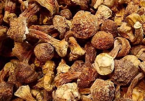 靈彥兒保健養(yǎng)生