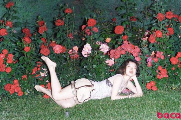 BACA國際藝術(shù)教育