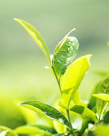 自在圓護(hù)膚品