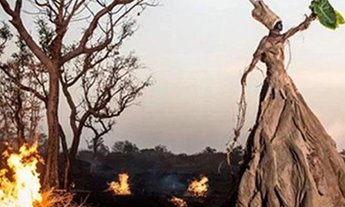 ACG國(guó)際藝術(shù)教育