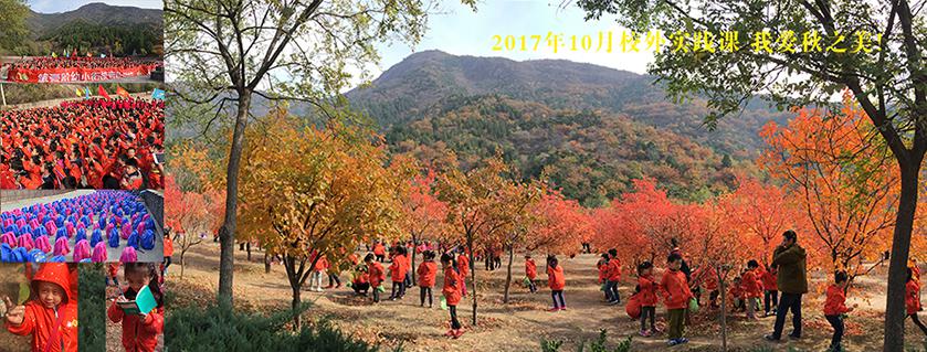 第壹學(xué)教育