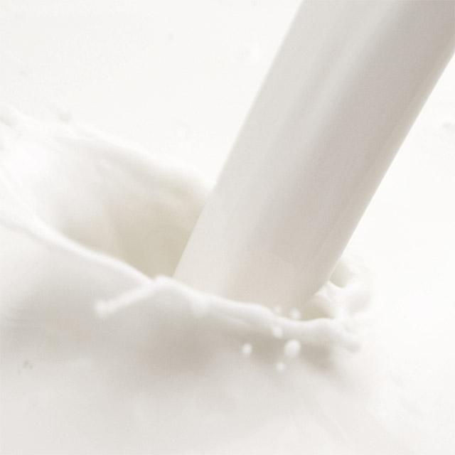 現(xiàn)代牧業(yè)