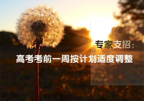 新世紀(jì)英語(yǔ)