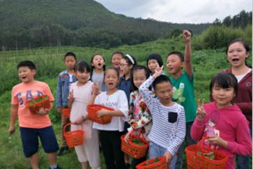 超強(qiáng)大腦