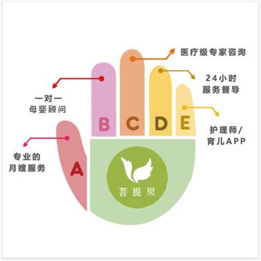菩提果母嬰護理