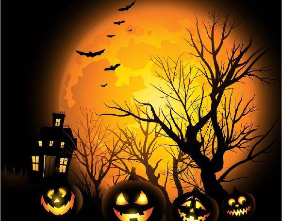 芝芝鳥藝術(shù)家園