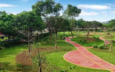 星海音樂(lè)教育