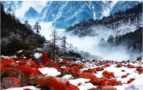 中國青年旅行社