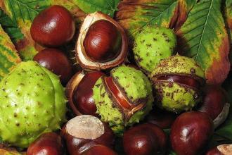 大吉大粒糖炒板栗