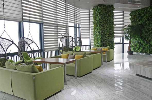 長(zhǎng)白綠森林硅藻泥