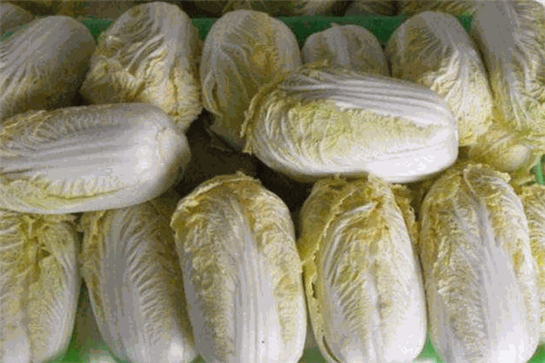 中騰君昊農(nóng)副產(chǎn)品