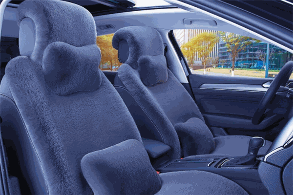 QQZ/奇奇正汽車用品