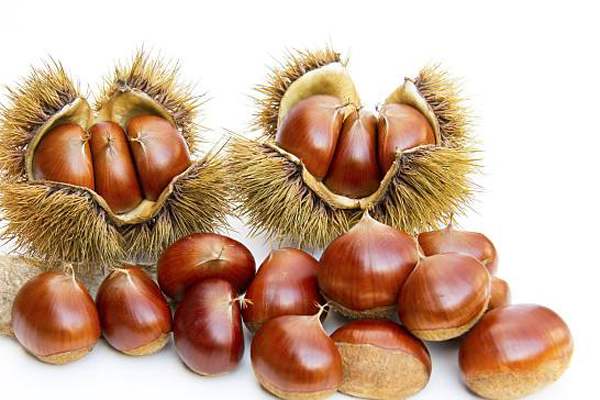 劉二貢栗糖炒板栗