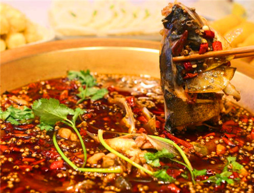 南興魚頭粥火鍋