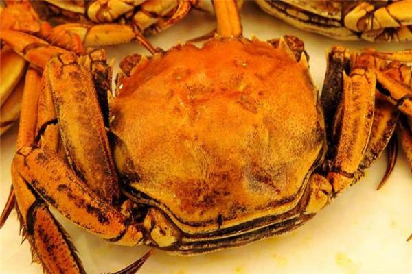 龍輝天下大閘蟹