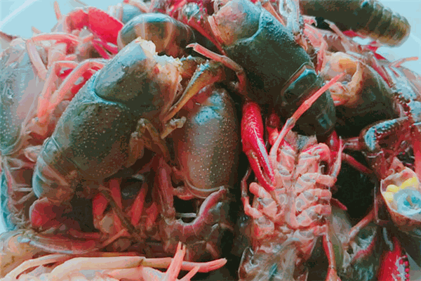 東北燒烤小龍蝦