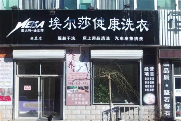 埃爾莎干洗